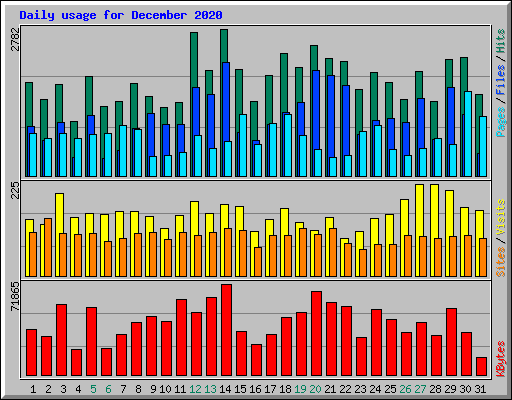 Daily usage for December 2020