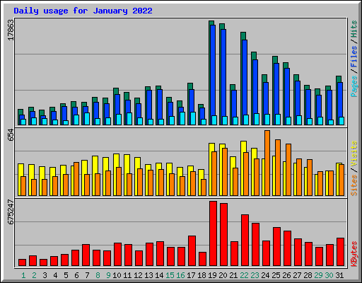 Daily usage for January 2022
