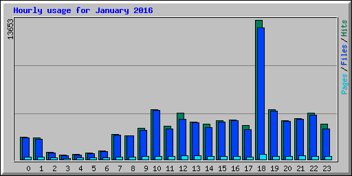 Hourly usage for January 2016