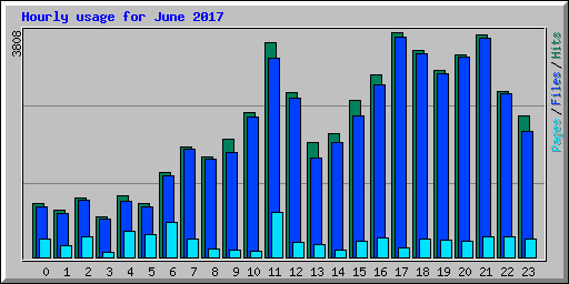 Hourly usage for June 2017