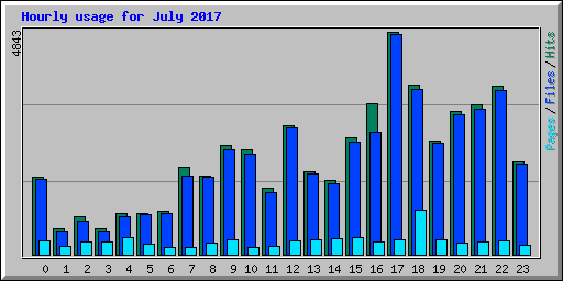 Hourly usage for July 2017