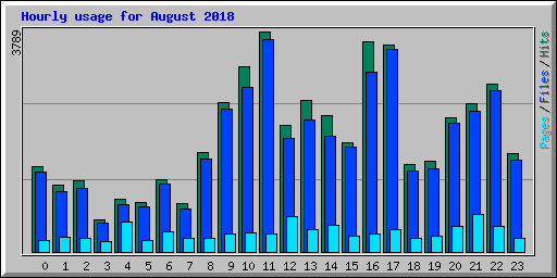 Hourly usage for August 2018