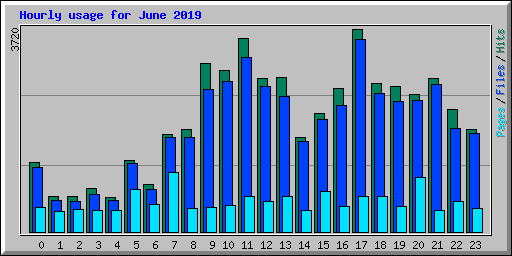 Hourly usage for June 2019