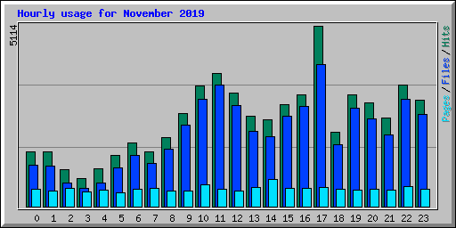 Hourly usage for November 2019
