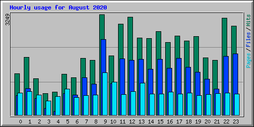 Hourly usage for August 2020