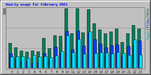 Hourly usage for February 2021