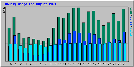 Hourly usage for August 2021