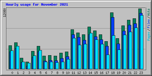 Hourly usage for November 2021