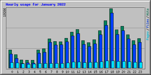 Hourly usage for January 2022