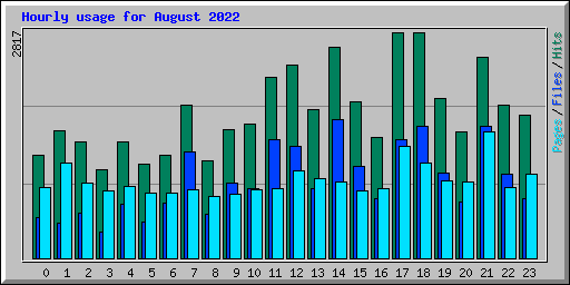 Hourly usage for August 2022