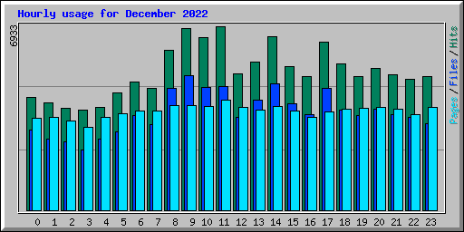 Hourly usage for December 2022