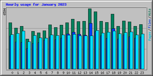 Hourly usage for January 2023